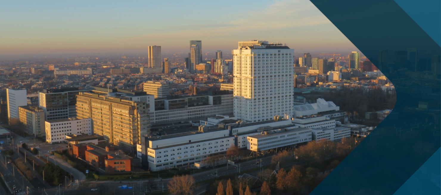 rotterdam gebiedsontwikkeling