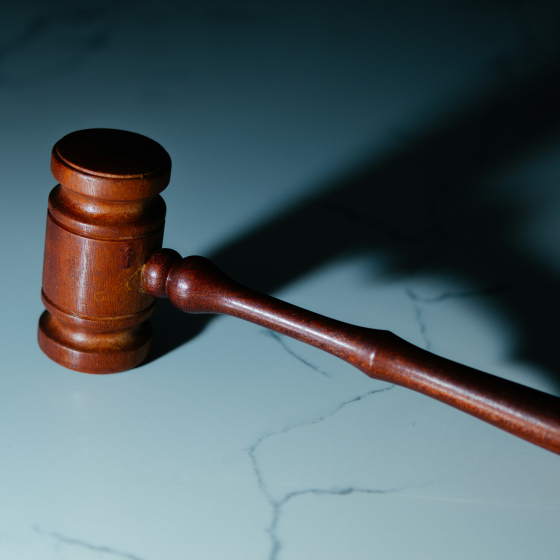 rechter rechtbank
