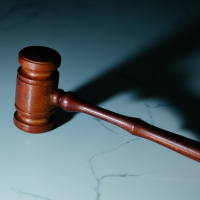 rechter rechtbank