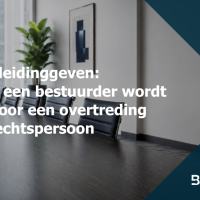 Feitelijk leidinggeven